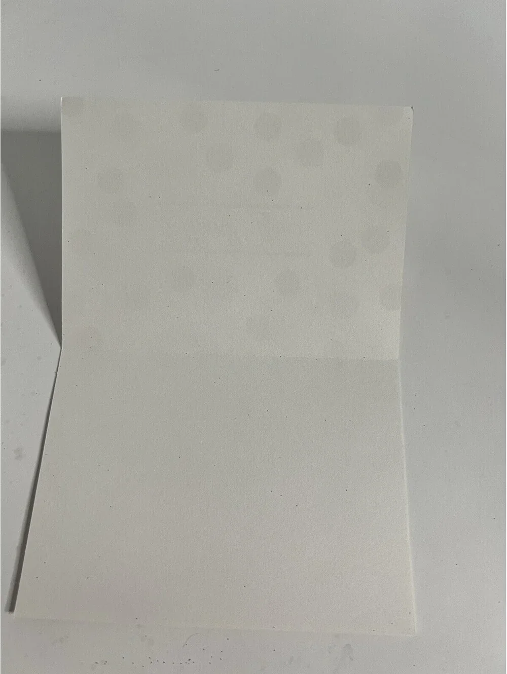 Hallmark Blank “Thank You” Notes Total Of 30